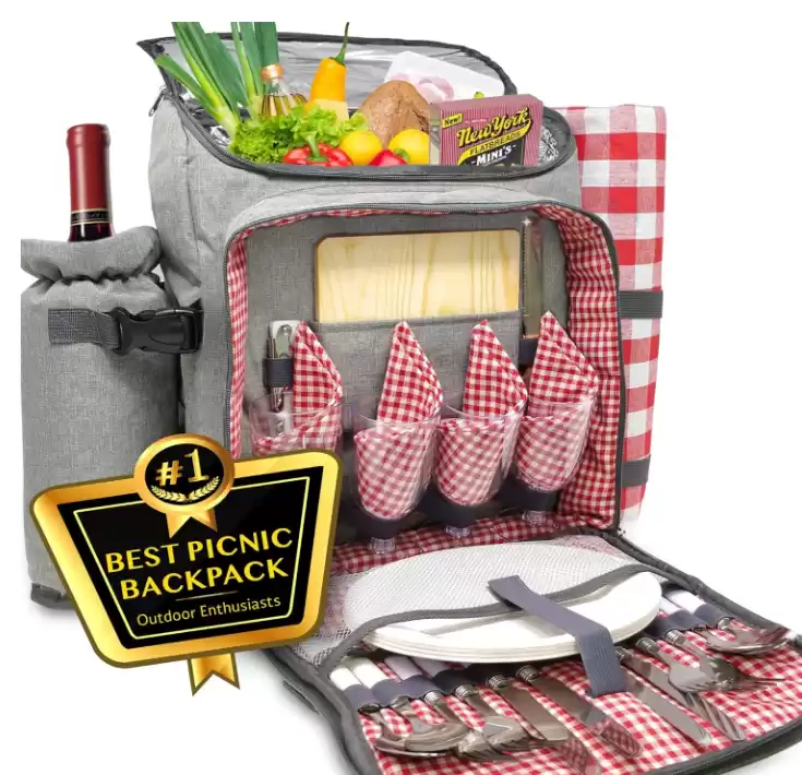 Luxury Wine Picnic Backpack for 4