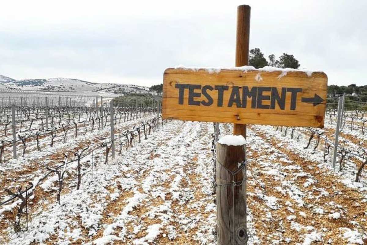 Prosek-explained_Testament-vineyards