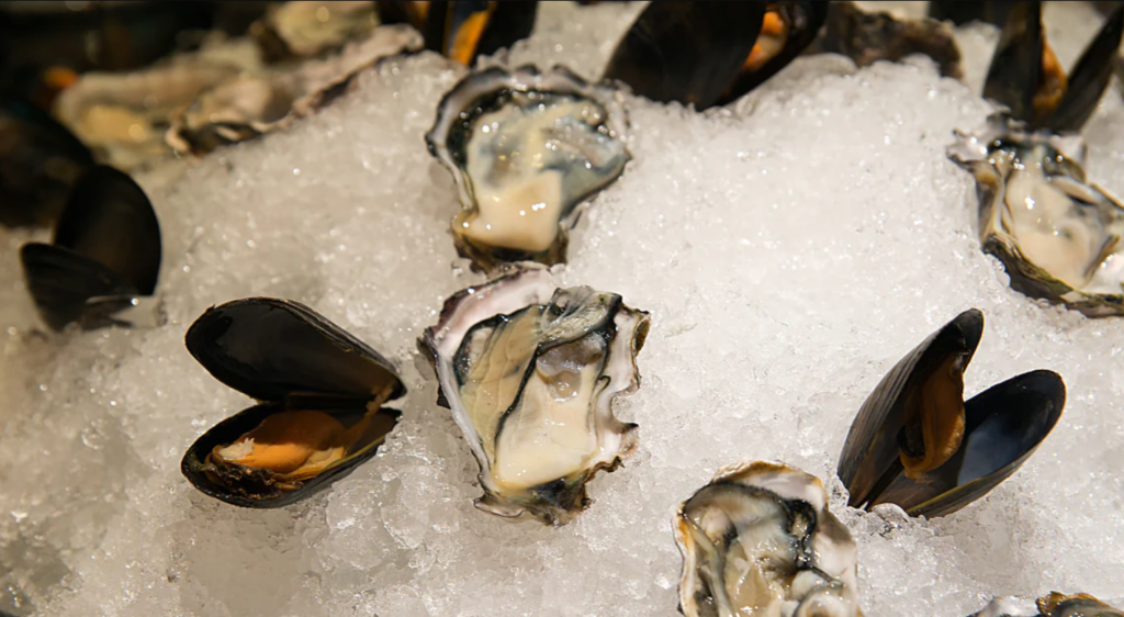 Ston oysters and mussels served on ice
