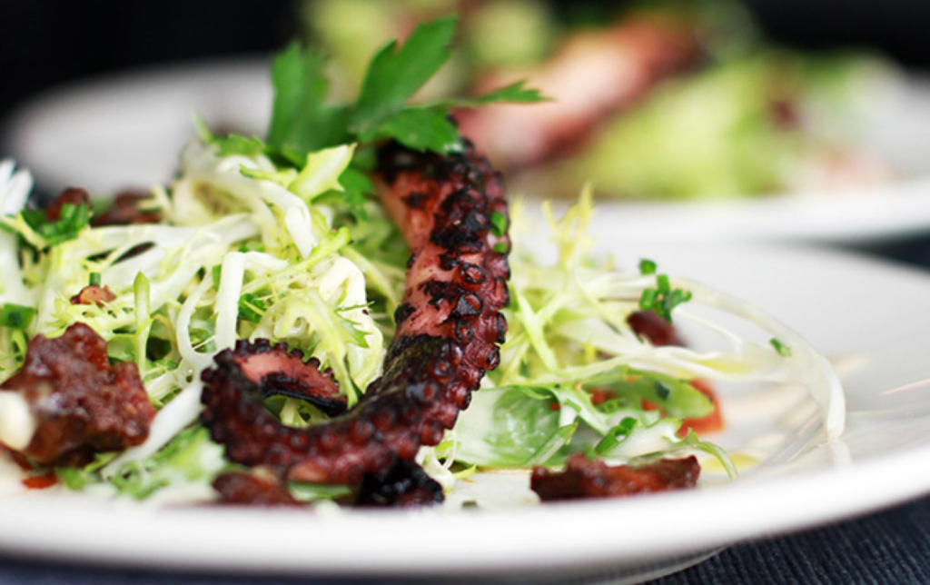 Grilled octopus with vegetables served on a plate