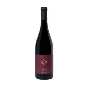 Wine&more |